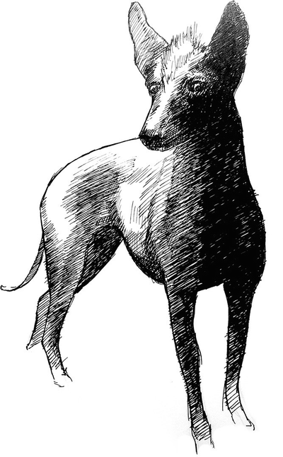 ../images/464548_1_En_36_Chapter/464548_1_En_36_Fig1_HTML.png